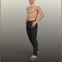 Masculine Classic Poses For Genesis 9 Daz 3d